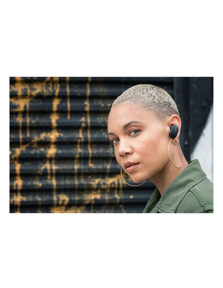 QuietComfort Triple Back Earbuds