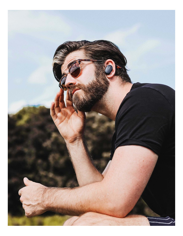 QuietComfort Triple Back Earbuds