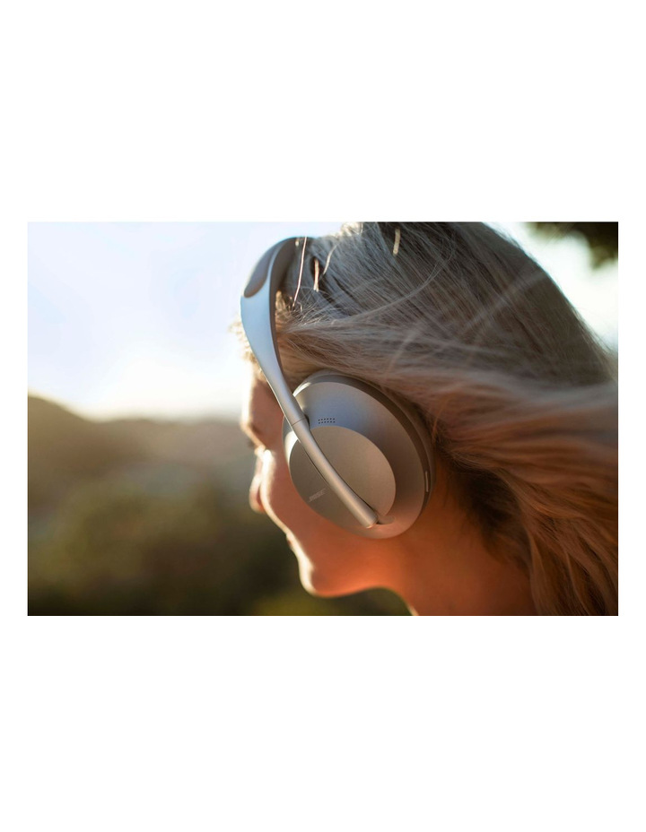 Silver Noise Cancelling Headphones 700